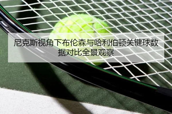 尼克斯视角下布伦森与哈利伯顿关键球数据对比全景观察